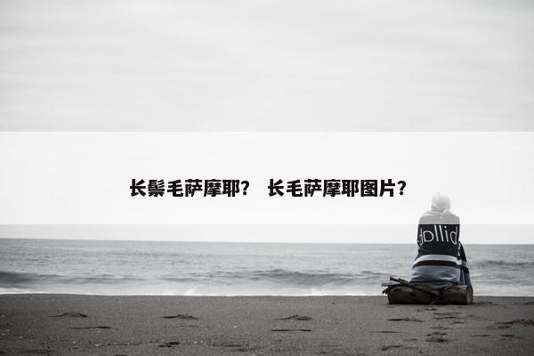 长鬃毛萨摩耶？ 长毛萨摩耶图片？