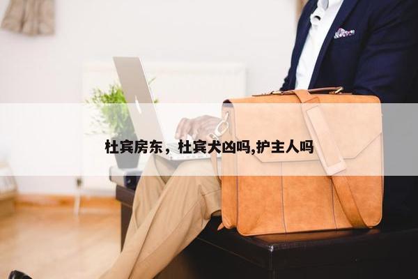 杜宾房东，杜宾犬凶吗,护主人吗
