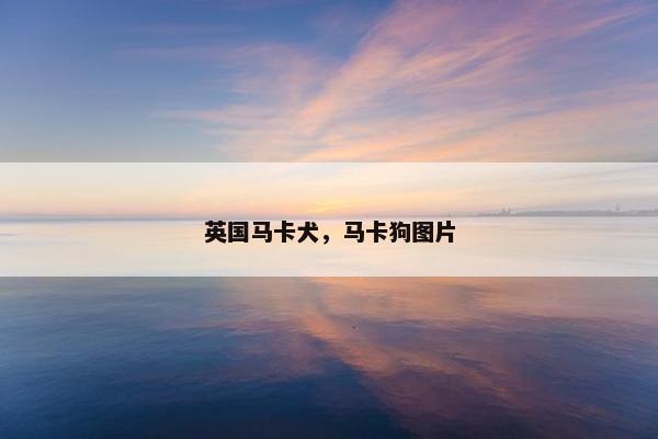 英国马卡犬，马卡狗图片
