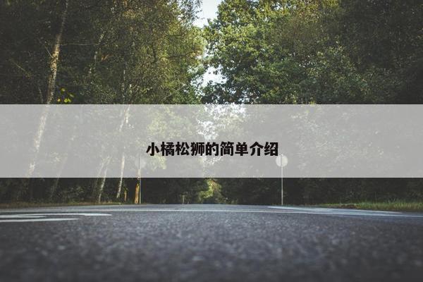小橘松狮的简单介绍