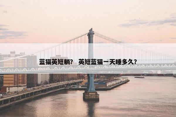 蓝猫英短躺？ 英短蓝猫一天睡多久？
