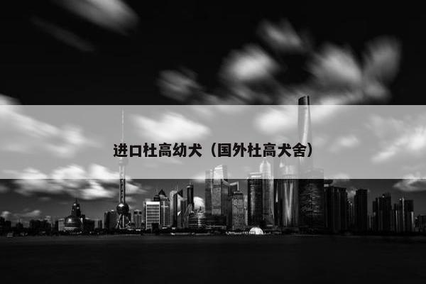 进口杜高幼犬（国外杜高犬舍）