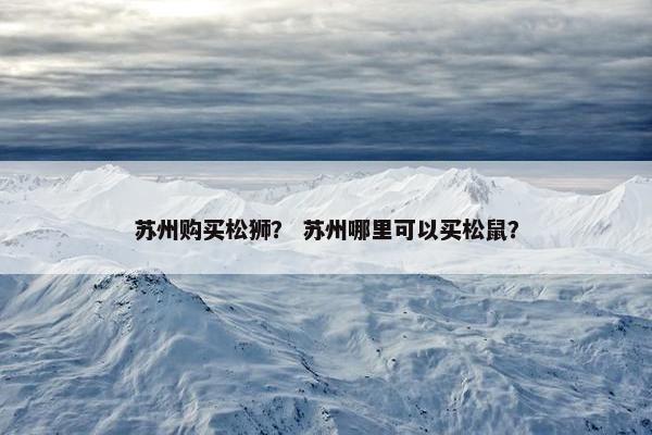 苏州购买松狮？ 苏州哪里可以买松鼠？