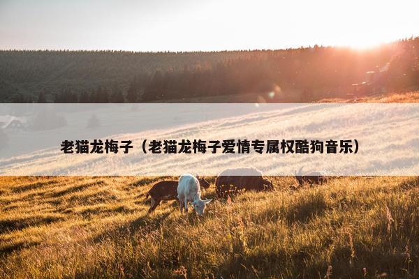 老猫龙梅子（老猫龙梅子爱情专属权酷狗音乐）