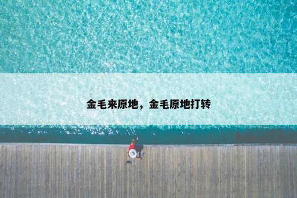 金毛来原地，金毛原地打转