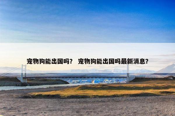 宠物狗能出国吗？ 宠物狗能出国吗最新消息？