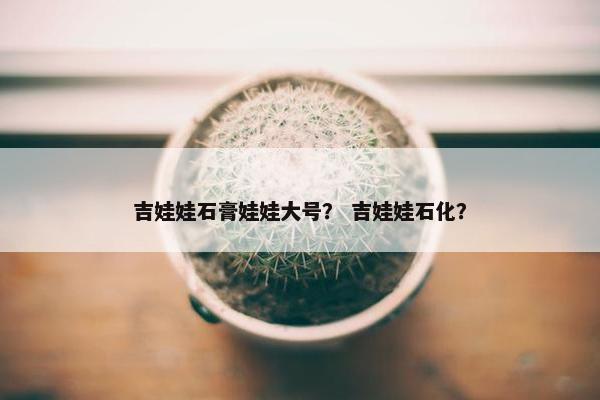 吉娃娃石膏娃娃大号？ 吉娃娃石化？