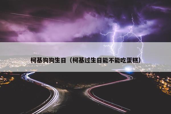 柯基狗狗生日（柯基过生日能不能吃蛋糕）