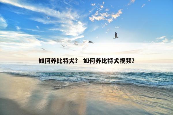如何养比特犬？ 如何养比特犬视频？