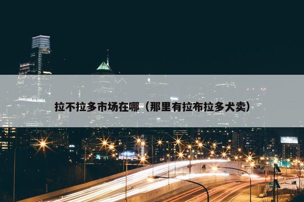 拉不拉多市场在哪（那里有拉布拉多犬卖）
