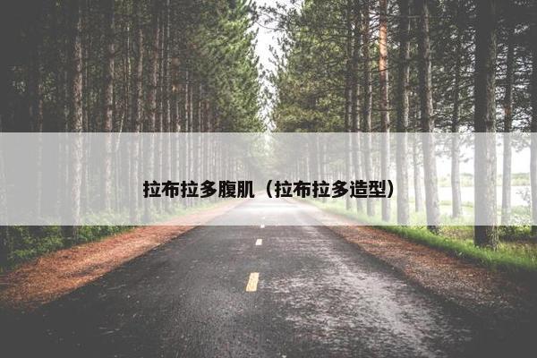 拉布拉多腹肌（拉布拉多造型）