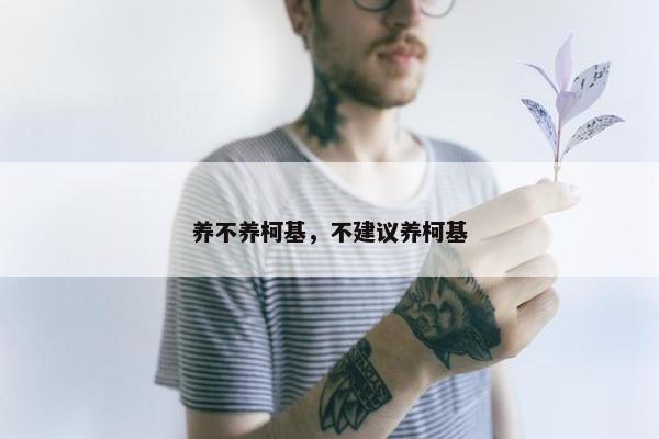 养不养柯基，不建议养柯基