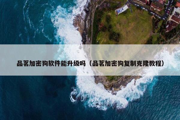 品茗加密狗软件能升级吗（品茗加密狗复制克隆教程）