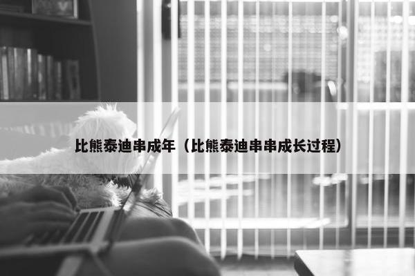 比熊泰迪串成年（比熊泰迪串串成长过程）