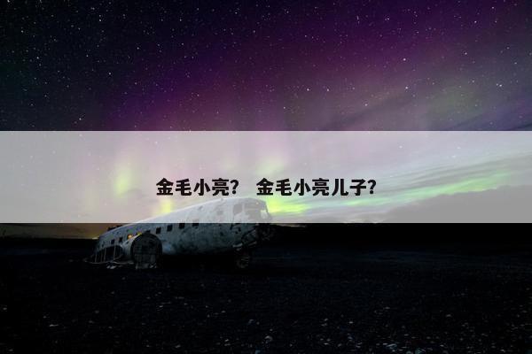 金毛小亮？ 金毛小亮儿子？