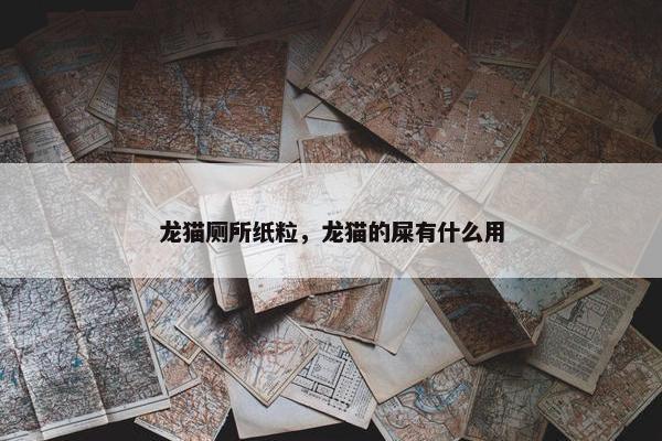 龙猫厕所纸粒，龙猫的屎有什么用