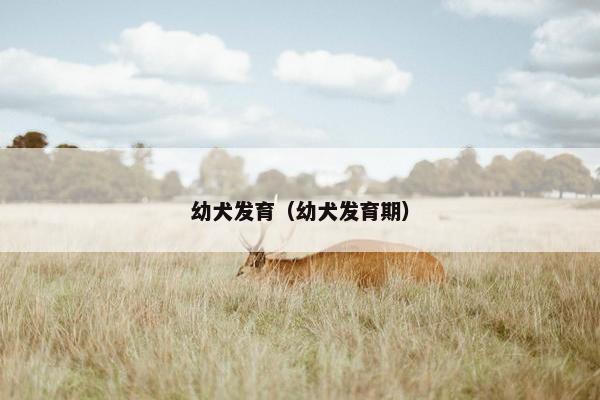 幼犬发育（幼犬发育期）