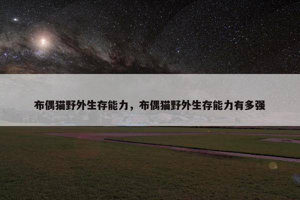 布偶猫野外生存能力，布偶猫野外生存能力有多强