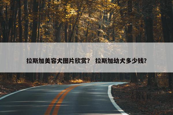 拉斯加美容犬图片欣赏？ 拉斯加幼犬多少钱？