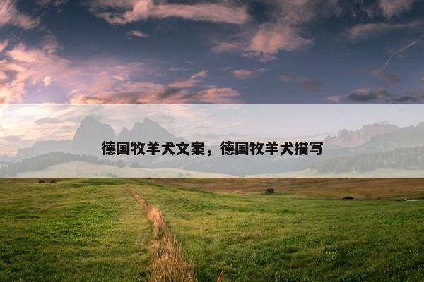 德国牧羊犬文案，德国牧羊犬描写