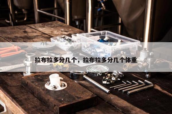 拉布拉多分几个，拉布拉多分几个体重