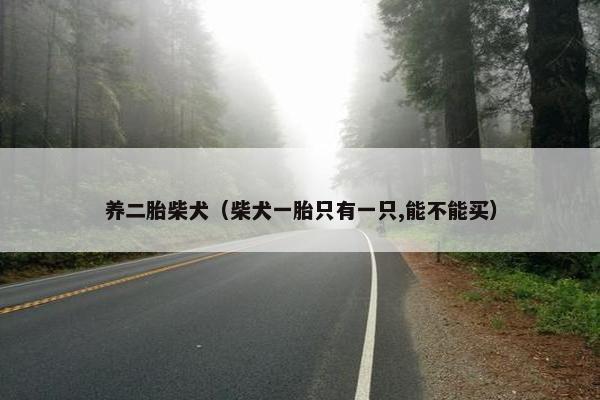 养二胎柴犬（柴犬一胎只有一只,能不能买）