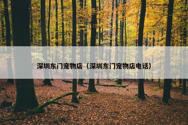 深圳东门宠物店（深圳东门宠物店电话）