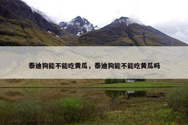 泰迪狗能不能吃黄瓜，泰迪狗能不能吃黄瓜吗