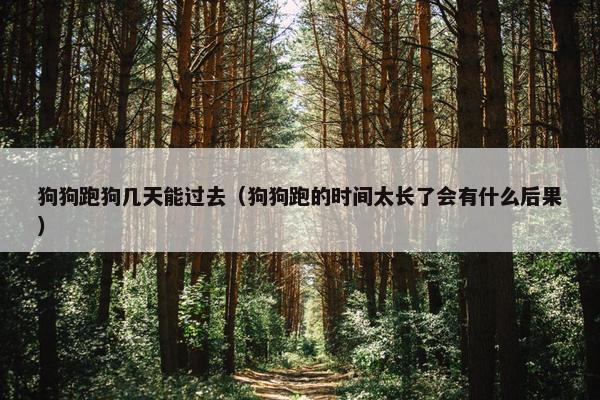 狗狗跑狗几天能过去（狗狗跑的时间太长了会有什么后果）