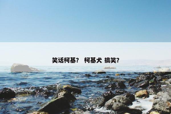 笑话柯基？ 柯基犬 搞笑？
