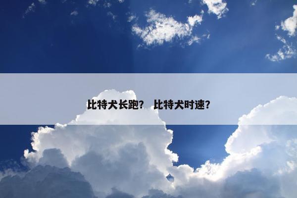 比特犬长跑？ 比特犬时速？