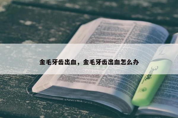 金毛牙齿出血，金毛牙齿出血怎么办