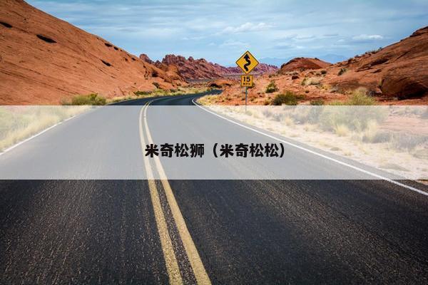 米奇松狮（米奇松松）