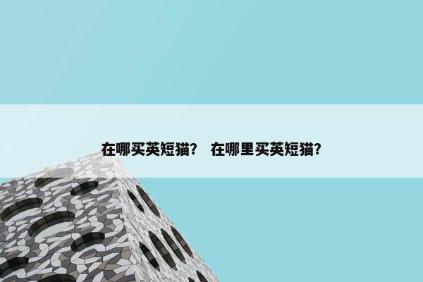 在哪买英短猫？ 在哪里买英短猫？