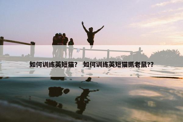 如何训练英短猫？ 如何训练英短猫抓老鼠?？