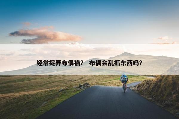 经常捉弄布偶猫？ 布偶会乱抓东西吗？