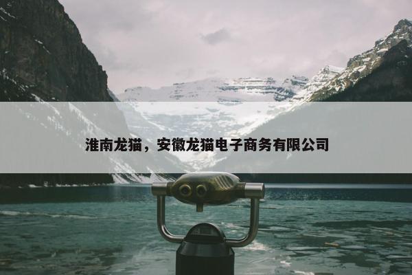 淮南龙猫，安徽龙猫电子商务有限公司