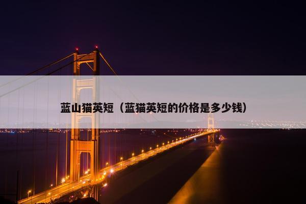 蓝山猫英短（蓝猫英短的价格是多少钱）