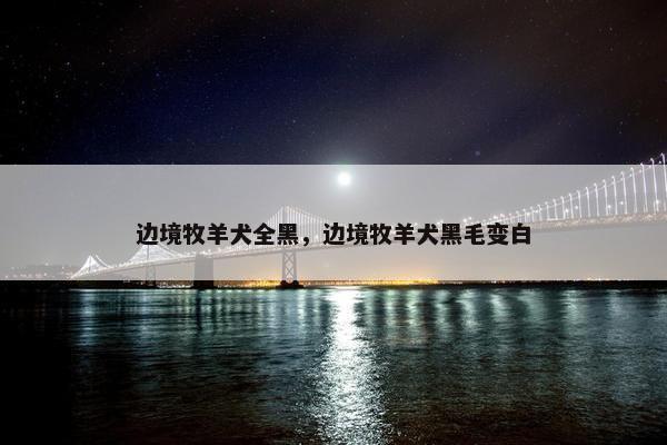 边境牧羊犬全黑，边境牧羊犬黑毛变白