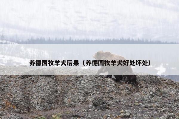 养德国牧羊犬后果（养德国牧羊犬好处坏处）