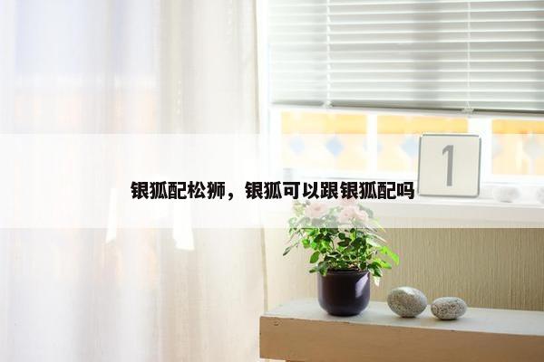银狐配松狮，银狐可以跟银狐配吗