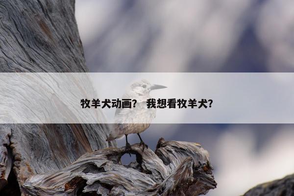 牧羊犬动画？ 我想看牧羊犬？