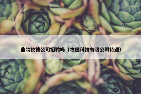 曲靖牧德公司招聘吗（牧德科技有限公司待遇）