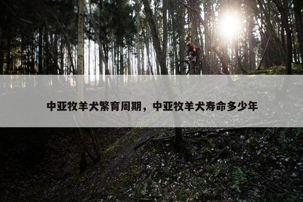 中亚牧羊犬繁育周期，中亚牧羊犬寿命多少年