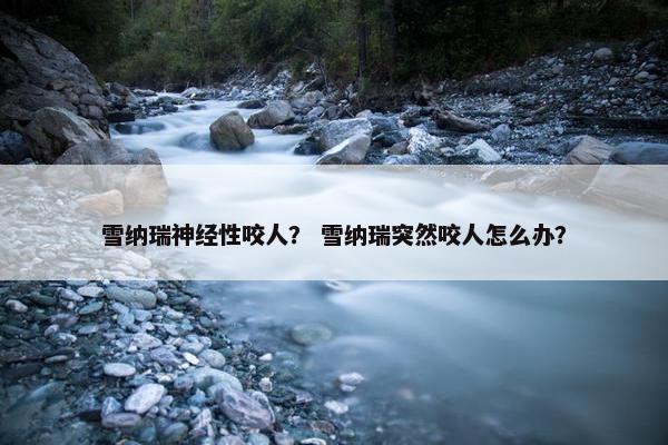 雪纳瑞神经性咬人？ 雪纳瑞突然咬人怎么办？