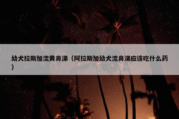 幼犬拉斯加流黄鼻涕（阿拉斯加幼犬流鼻涕应该吃什么药）