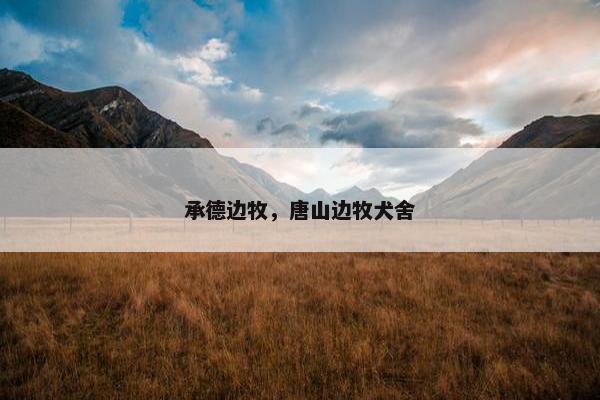 承德边牧，唐山边牧犬舍
