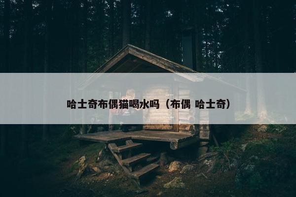 哈士奇布偶猫喝水吗（布偶 哈士奇）