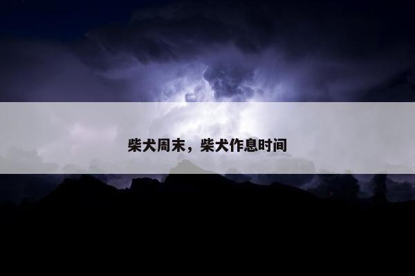 柴犬周末，柴犬作息时间