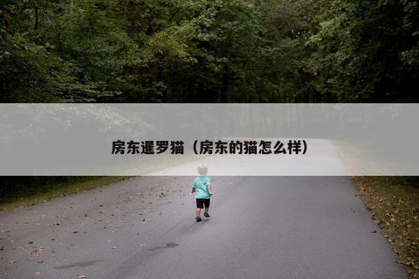 房东暹罗猫（房东的猫怎么样）